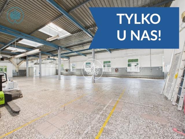 900 m² na sprzedaż lub wynajem – duża przestrzeń w Bydgoszczy