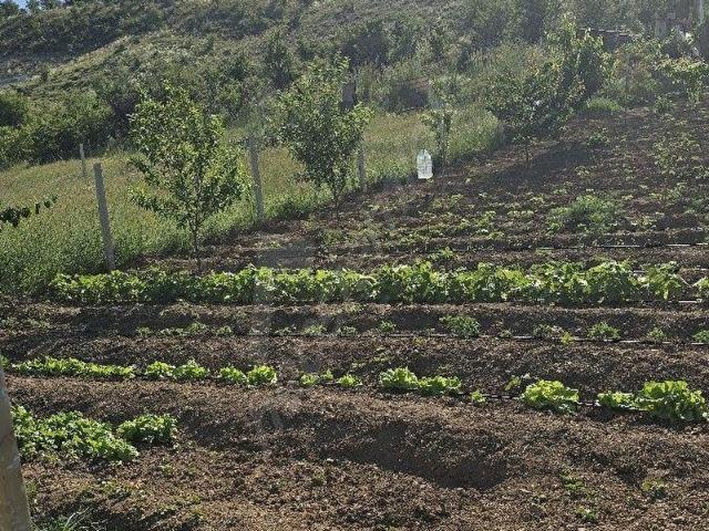 900m2 TAPULLU ARSA TELLE ÇEVLİRİ BAHÇE YERİ Yenikent8km Sincan10km sincan tatlar mevkide