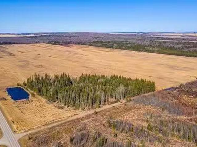 901 Sec Hwy 681 Hi, Rural Saddle Hills County, AB, T0H 0K0 v.