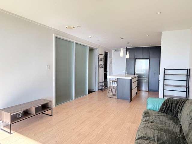 902/8 Ronayne Street, Auckland Central, Auckland City