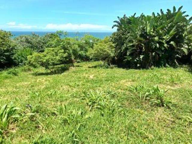 902 m² Land available in Umzumbe