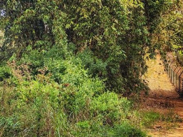 903 m² Land available in Salt Rock