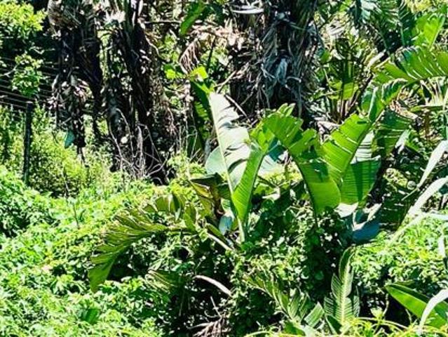 904 m² Land available in Mtwalume