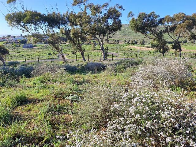 907 m² Land available in St Helena Views