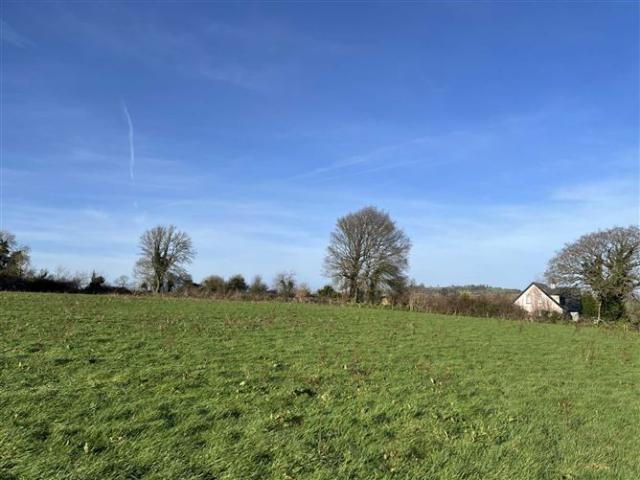 90,000 | Site At, Knockgraffon, Cahir, County Tipperary P F Quirke & Co Ltd 4773 MyHome. Ie Residential