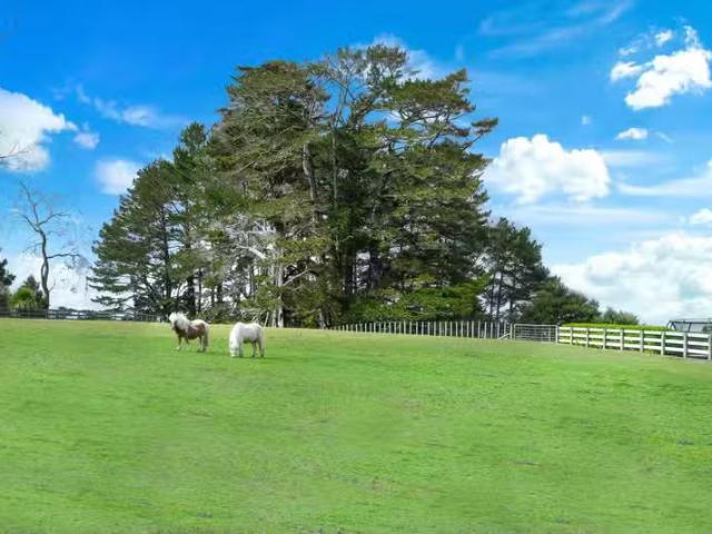 90 Mcentee Road, Waitakere, Waitakere City For Sale