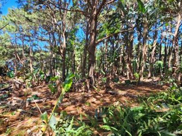 910 m² Land available in Woodgrange