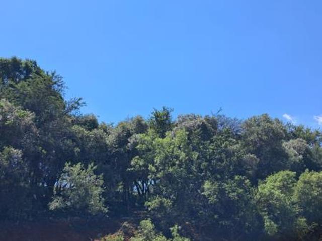 917 m² Land available in Leloko