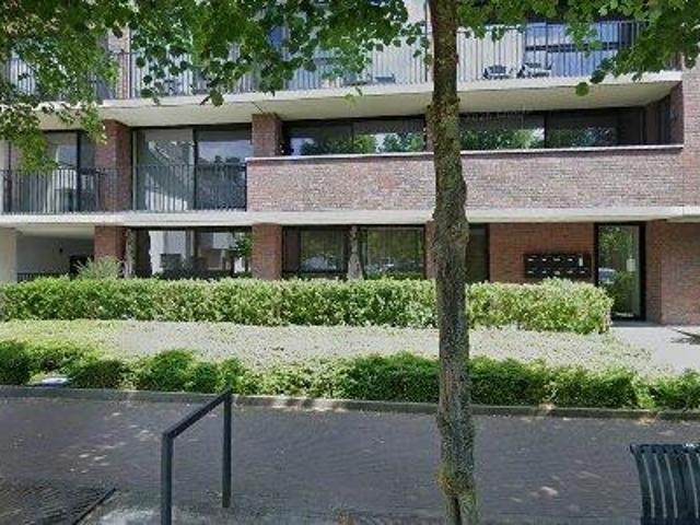 91 m2 apartment for rent in Pelt