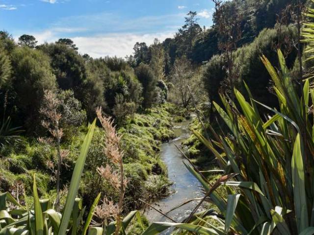 91B Gasson Lane, Pyes Pa, Tauranga