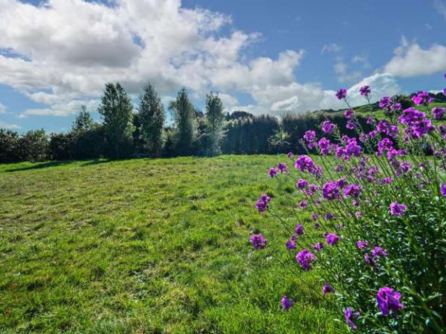 922 Okaihau Road, Maraetotara, Hastings