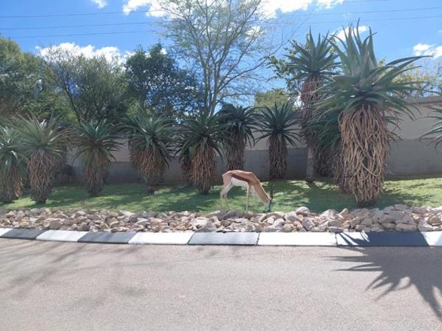 926 m² Land available in Seasons Lifestyle Estate