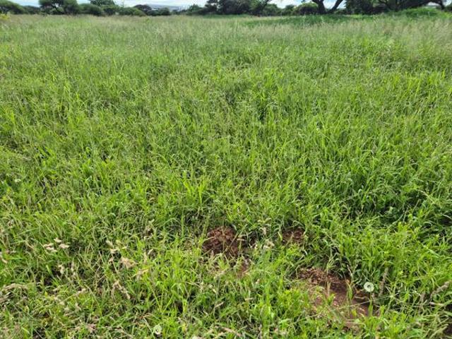 928 m² Land available in Southern Gateway