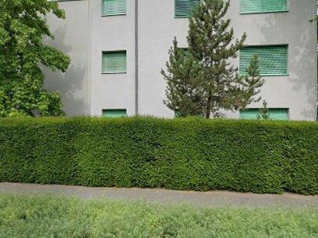 92 m2 apartment for rent in Arlesheim