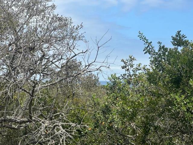936 m² Land available in Gamtoos River Mouth