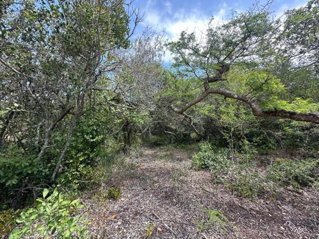 936 m² Land available in Gamtoos River Mouth