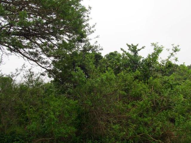 939 m² Land available in Cintsa East