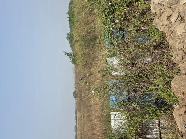 939 Sq.Ft. Plot in Karve Nagar Pune Listing ID: #10253