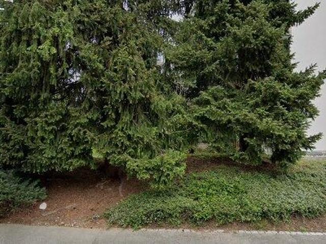 97 m2 apartment for rent in Oberaargau