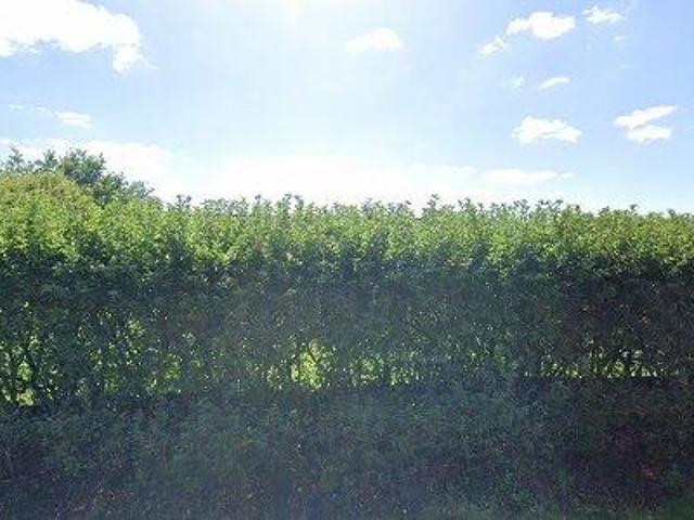 97 m2 lejlighed til salg i Oksbøl