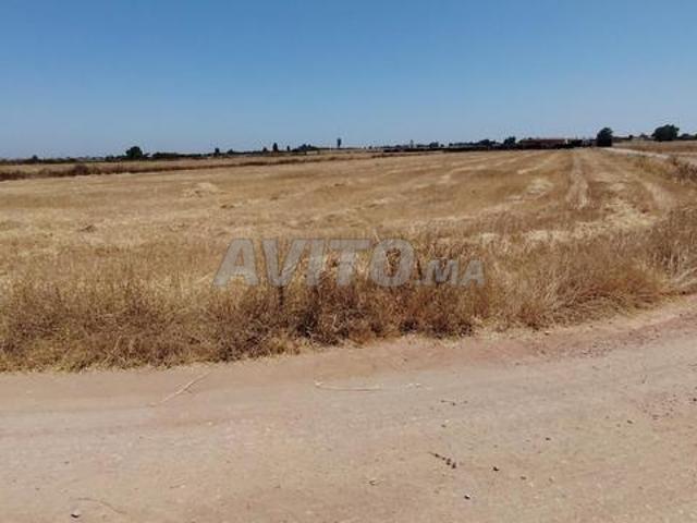 9400 m² titré à Benslimane
