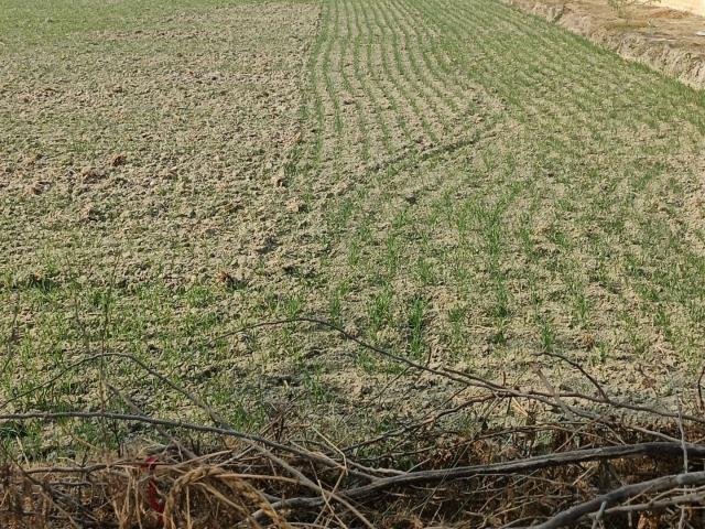 945 Sq.Ft. Plot in Mohanlalganj Lucknow Listing ID: #10259