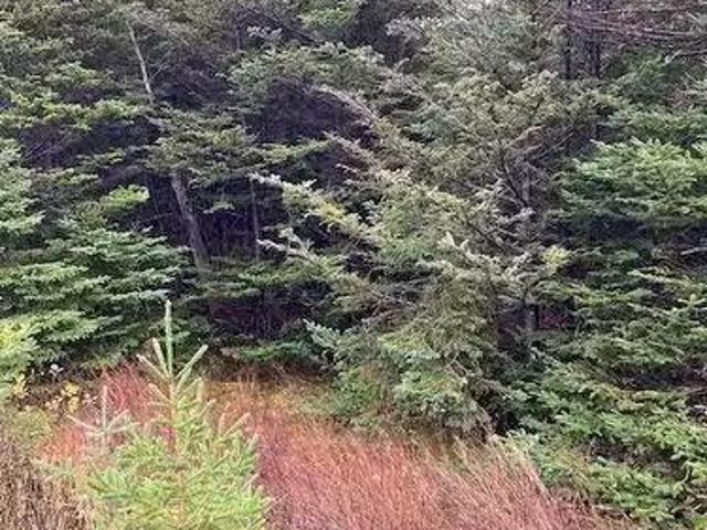 94 96 Highway East, Victoria, NL, A0A 4G0 vacant land for sa.