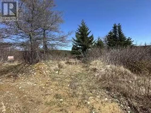94 100 Rattle'S Road, Victoria, NL, A0A 4G0 vacant land for.