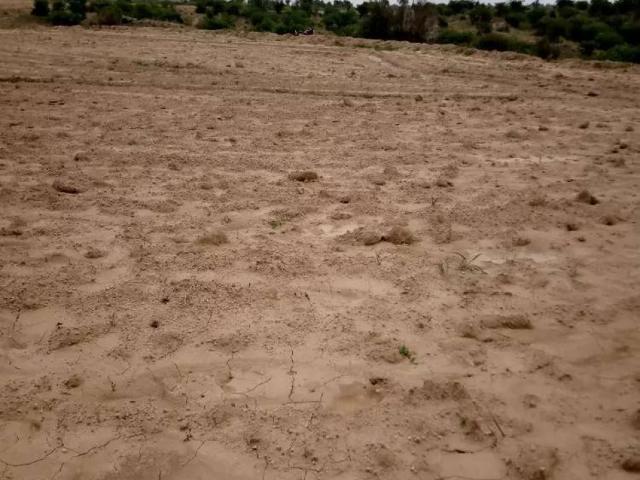 94 kanal agricultural land available Chakwal ID 18893