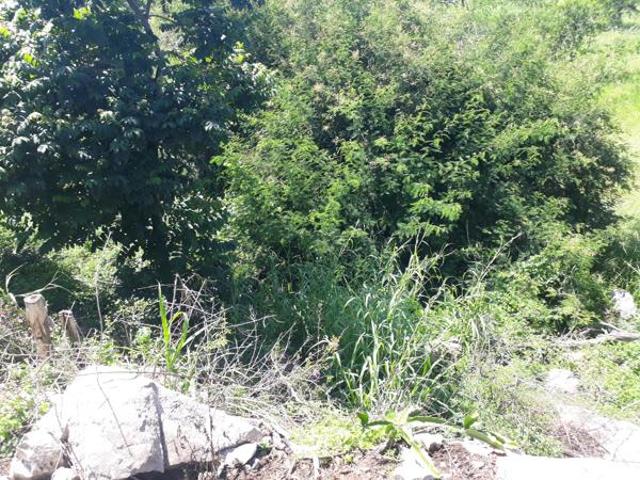 954 m² Land available in Elawini Lifestyle Estate