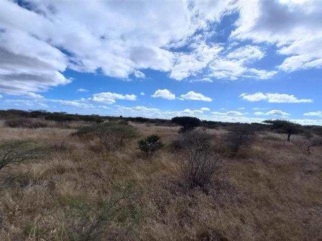 957 ha Farm in Louis Trichardt