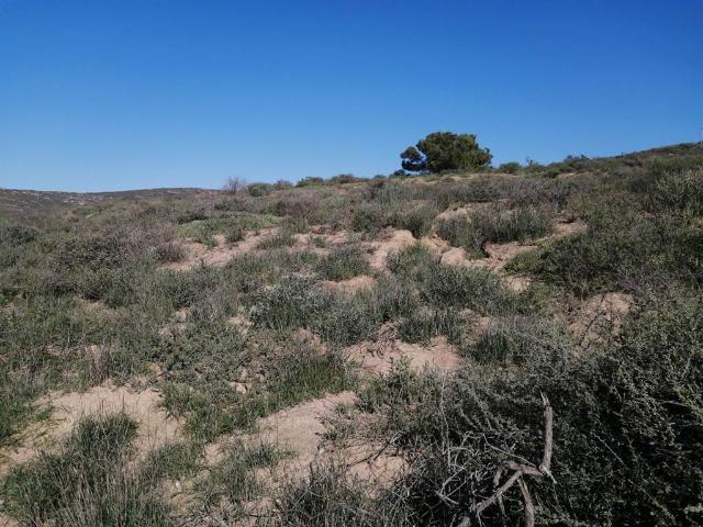 960 m² Land available in Britannica Heights
