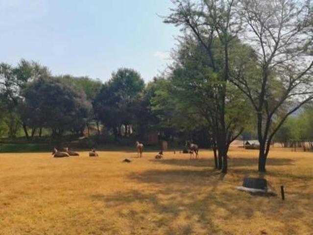 960 m² Land available in Buffelspoort