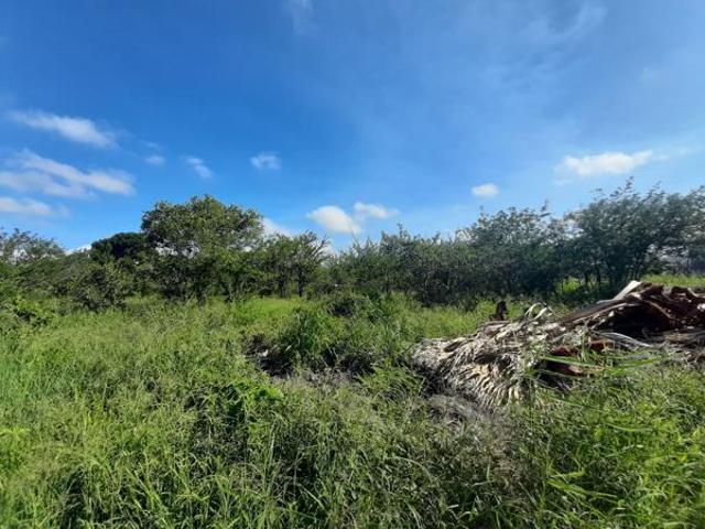 960 m² Land available in Hectorspruit