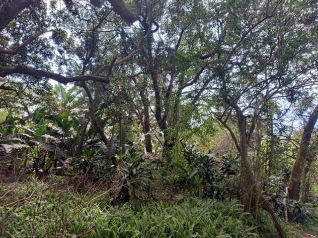 960 m² Land available in Palm Beach
