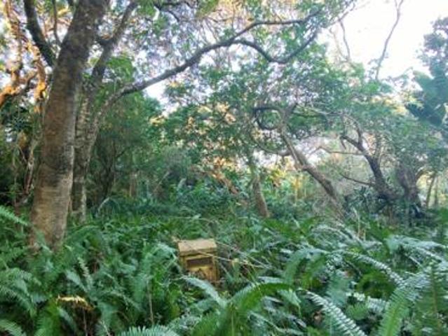 960 m² Land available in Palm Beach