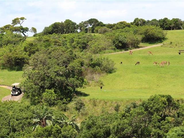 963 m² Land available in Cintsa
