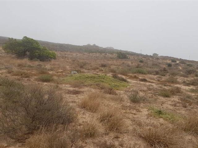 964 m² Land available in Britannica Heights