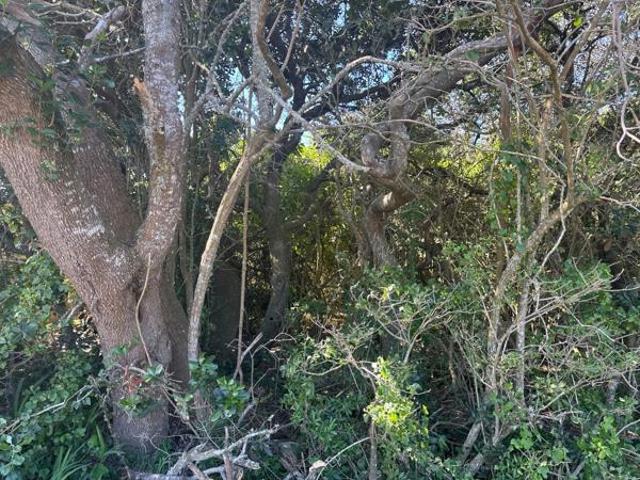 967 m² Land available in Boknesstrand
