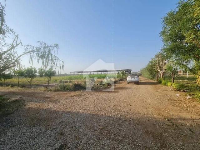 9680 Square Yards Agricultural Land For Sale In Bin Qasim Town
