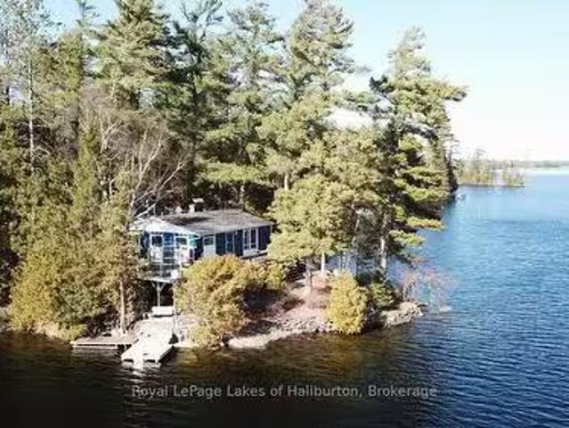 96 Pine Point Trail, Trent Lakes, ON, K0M 2A0 Luxury House f.