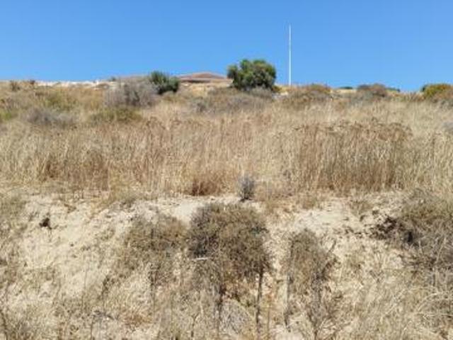 973 m² Land available in Saldanha Heights