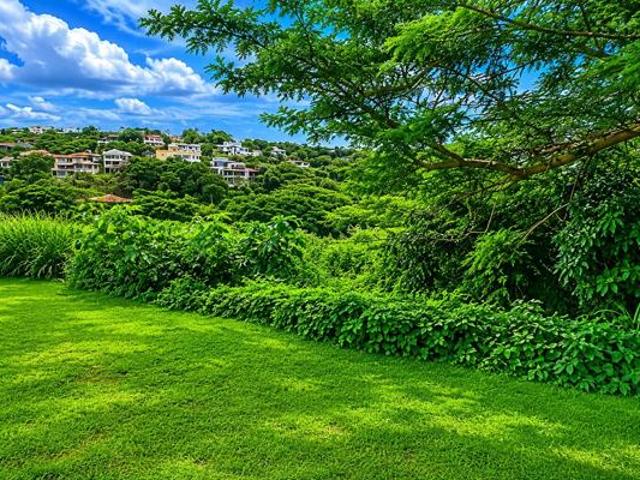 974 m² Land available in Ballito Central