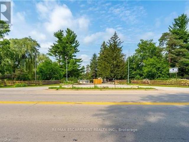 976 Hwy 52, Hamilton, ON, L0R 1J0 vacant land for sale | Listing ID X13577 | Royal LePage