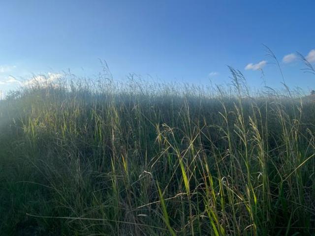 978 m² Land available in Tzaneen