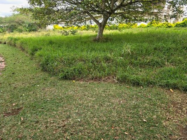 980 m² Land available in Eshowe