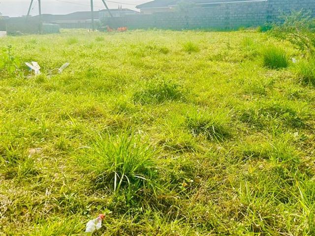 982 m² Land available in Brackenham