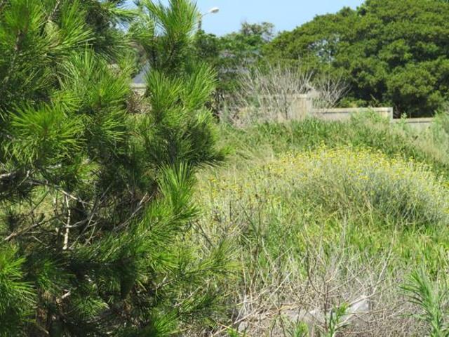 983 m² Land available in West Bank