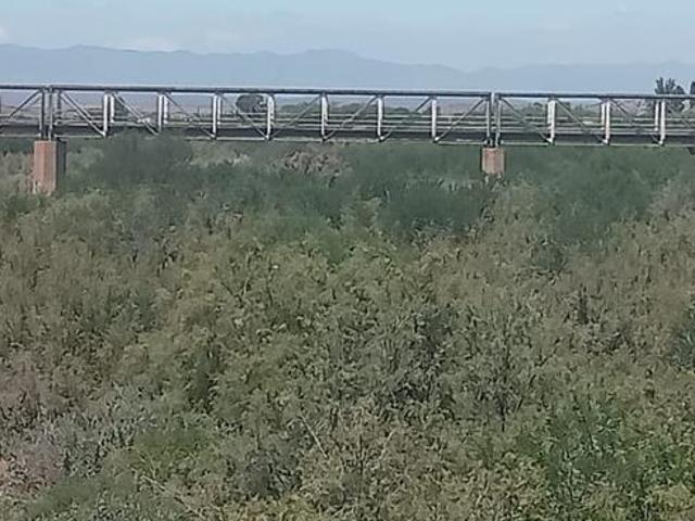 987 m² Land available in Steytlerville