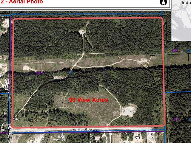 98 Acres Of Managed Forest Land